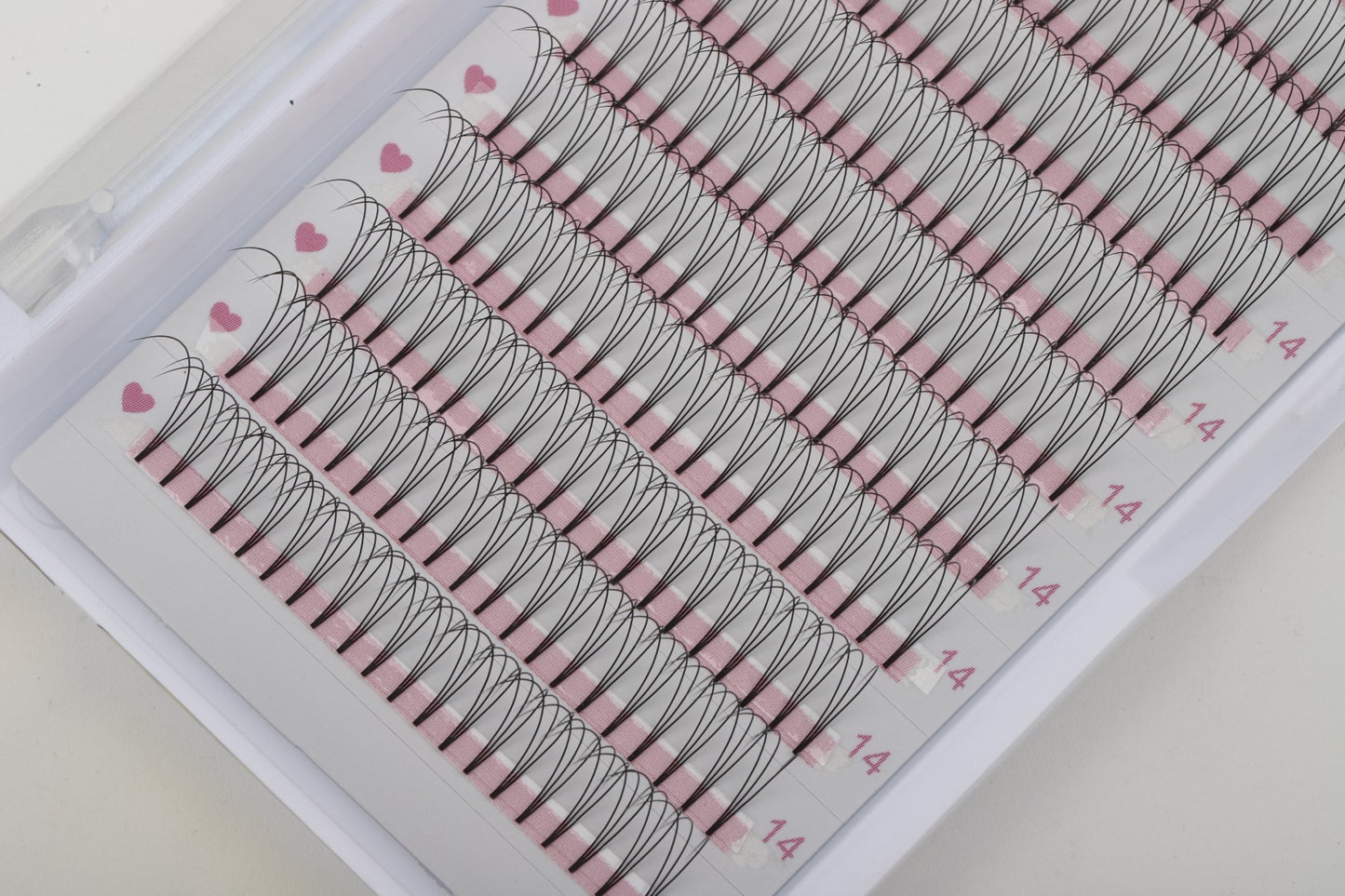 3D D Curl 0.10 12 Row Tray