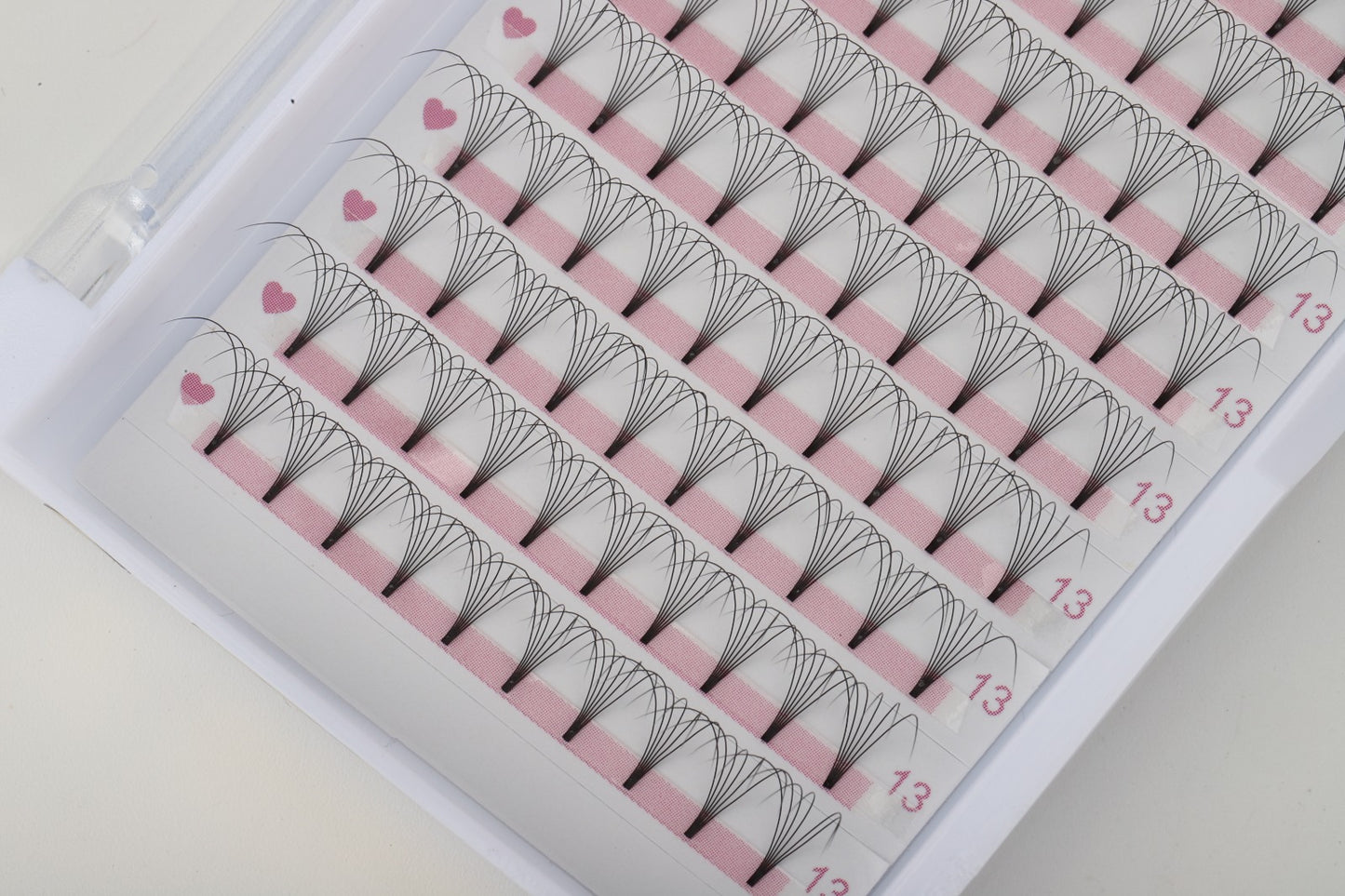 6D D Curl 0.07 12 Row Tray