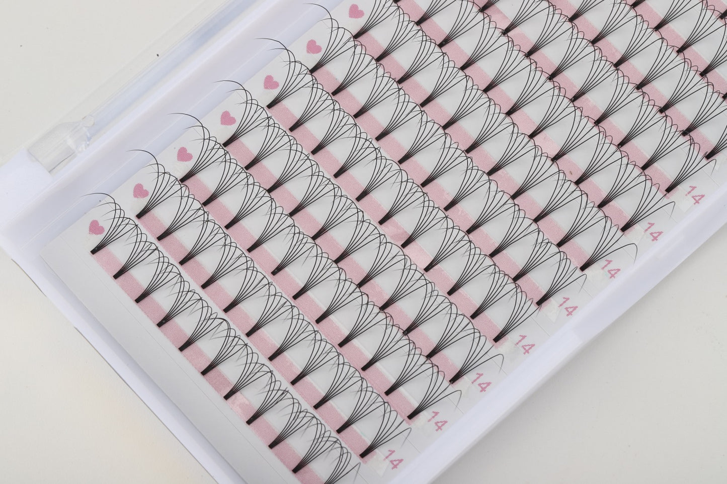 5D D Curl 0.10 12 Row Tray